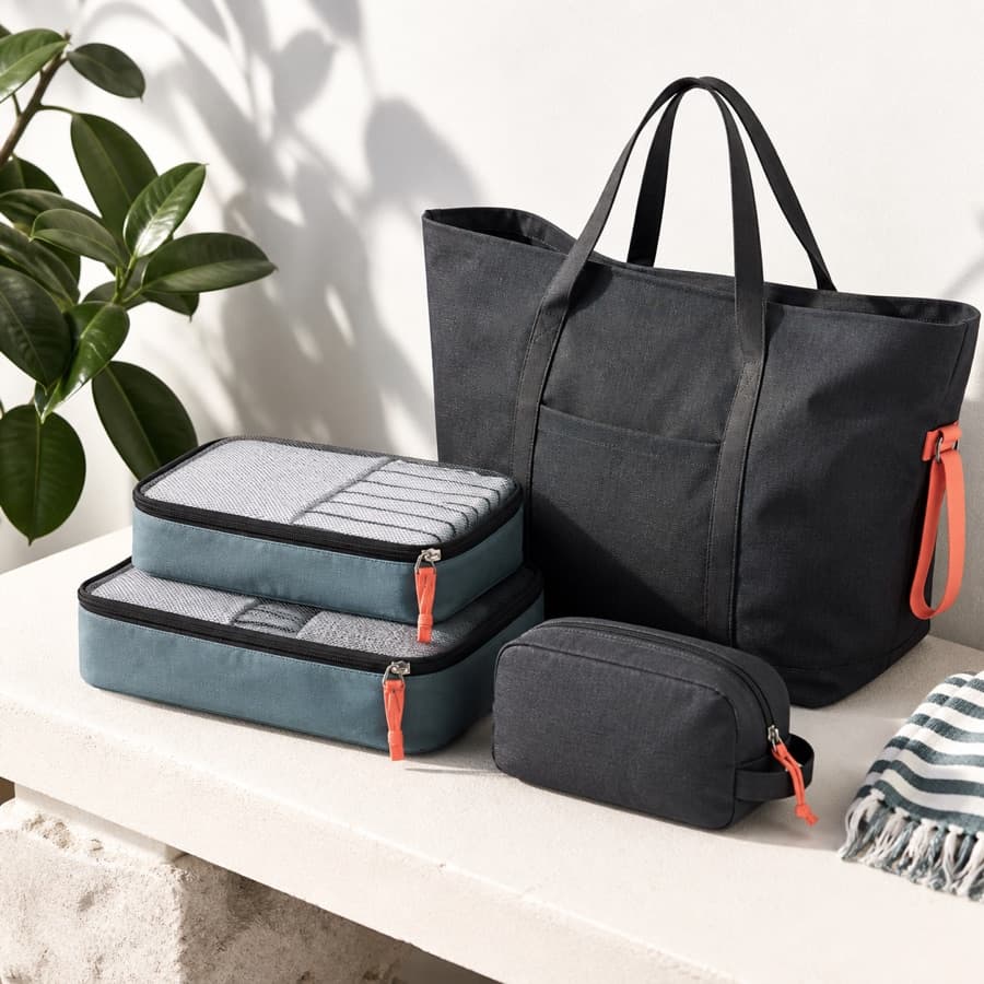 An everyday tote and travel accessories